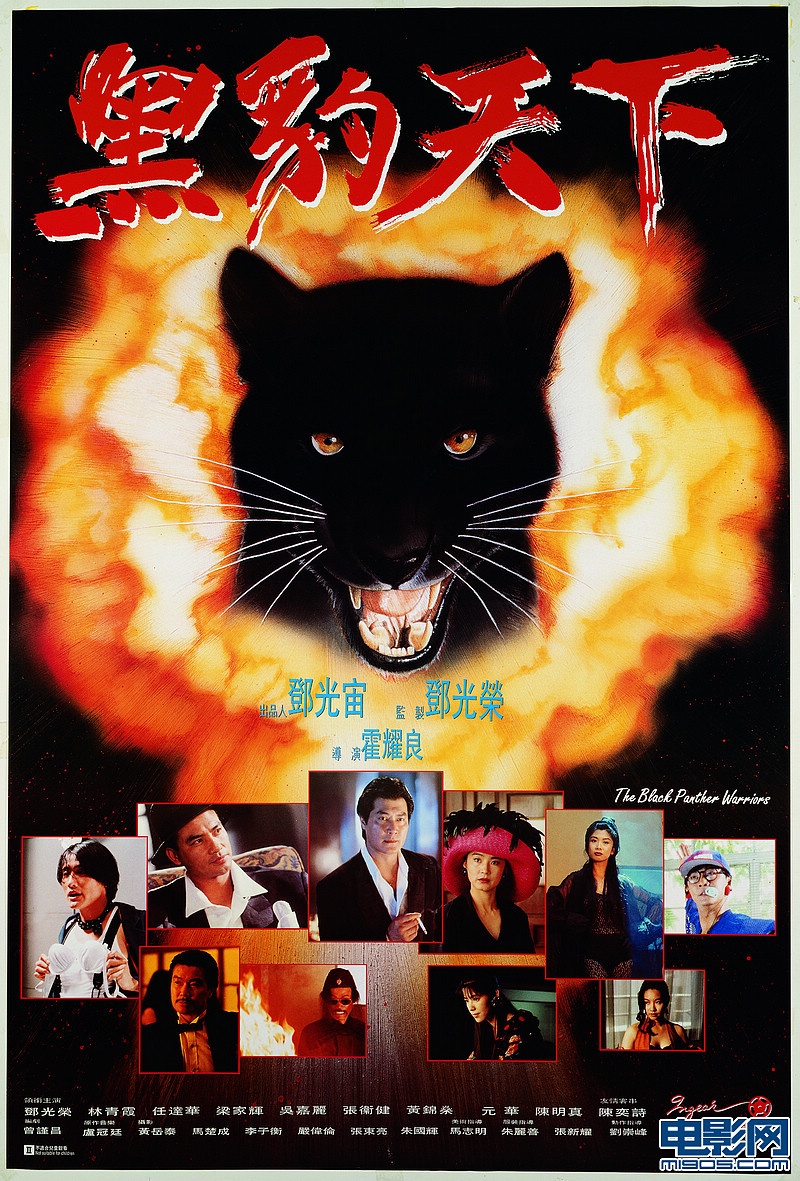 香港经典电影《黑豹天下》免费高清电影下载