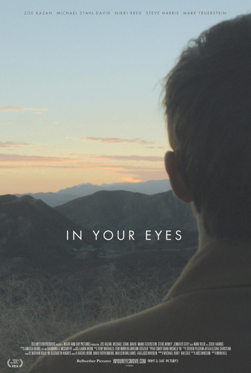 2014年美国奇幻爱情《你眼中的世界》高清电影下载