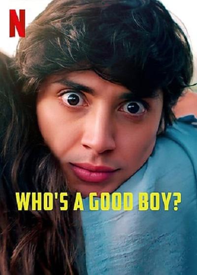 2022年喜剧爱情《谁是好男孩》最新电影下载