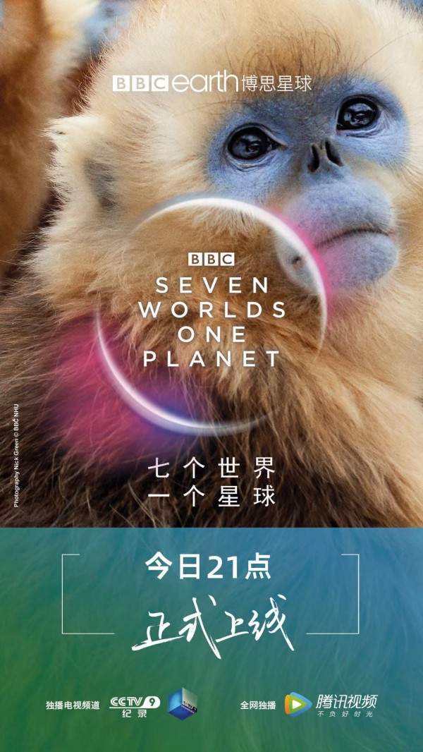 2019年英国纪录片《七个世界，一个星球》高清纪录片下载